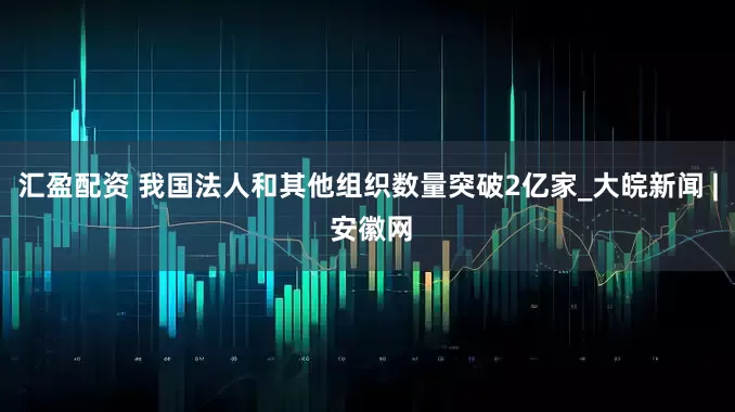 汇盈配资 我国法人和其他组织数量突破2亿家_大皖新闻 | 安徽网