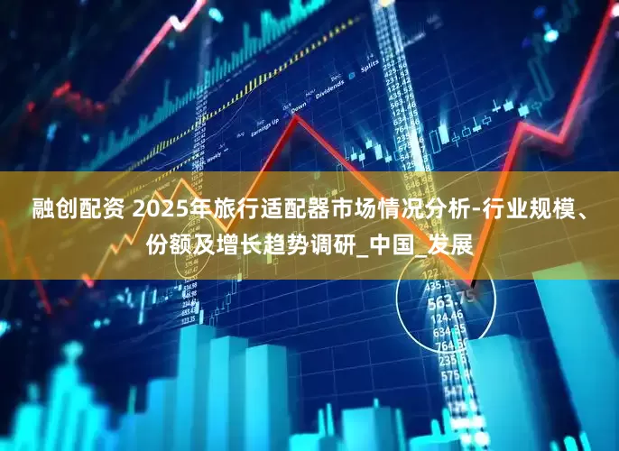 融创配资 2025年旅行适配器市场情况分析-行业规模、份额及增长趋势调研_中国_发展